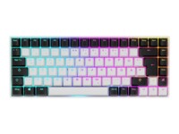 Sharkoon SKILLER SGK50 S3 Tastatur RGB Kablet Tysk