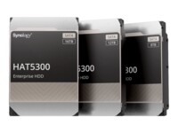 Synology Harddisk HAT5300 12TB 3.5' SATA-600 7200rpm