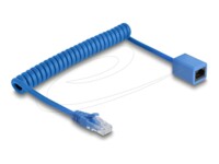 DeLOCK CAT 6 Ikke afskærmet parsnoet (UTP) 75cm Forlængerkabel til netværk Blå