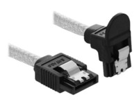 DeLOCK Seriel ATA-kabel Transparent 20cm