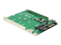 DeLOCK Converter 22 pin > M.2 NGFF Lagringskontrol