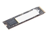 Lenovo SSD 2TB M.2 PCI Express 4.0 (NVMe)