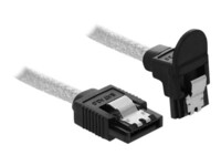 DeLOCK Seriel ATA-kabel Transparent 70cm