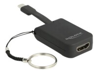 Delock RTD2171U