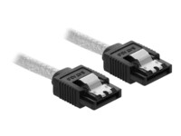 DeLOCK Seriel ATA-kabel Transparent 70cm
