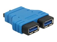 Delock USB intern adapter Sort Blå