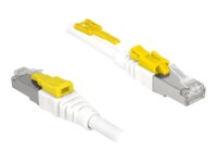 DeLOCK Secure CAT 6a Afskærmet parsnoet (STP) 3m Patchkabel Hvid