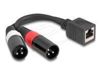 Delock Lyd adapter 20cm Sort
