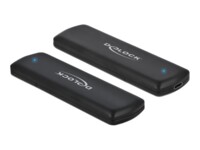 DeLOCK Ekstern Lagringspakning USB 3.2 (Gen 2) M.2 NVMe Card