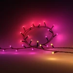 Philips by Signify Hue White and colour ambience 8720169246621 Smart belysning 14 kWh Variabel