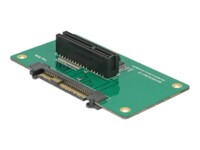 DeLOCK Interfaceadapter