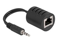 Delock Lyd adapter Sort