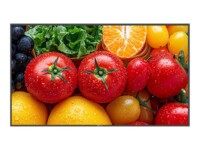 Neovo QM5503 55' Digital skiltning 3840 x 2160