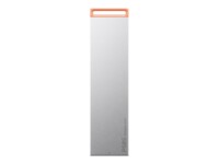 Lenovo SSD PS8S 2TB USB 3.2 Gen 2