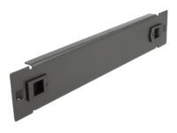 DeLOCK Network Cabinet Blind Cover Rack blind cover panel Sort