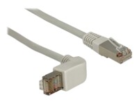 DeLOCK CAT 6 Afskærmet parsnoet kabel (SSTP) 50cm Patchkabel Grey