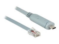 DeLOCK 50cm Seriel adapter Grey