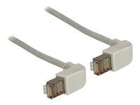 DeLOCK CAT 5e Kabel med afskærmning med folie og kobberfletning (SFTP 2m Patchkabel Grey