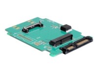DeLOCK Converter SATA 22 pin > mSATA Lagringskontrol