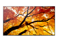 M502 50IN LFD UHD 550CD/M2 D-L