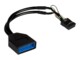 Inter-Tech USB intern adapter 15cm Sort