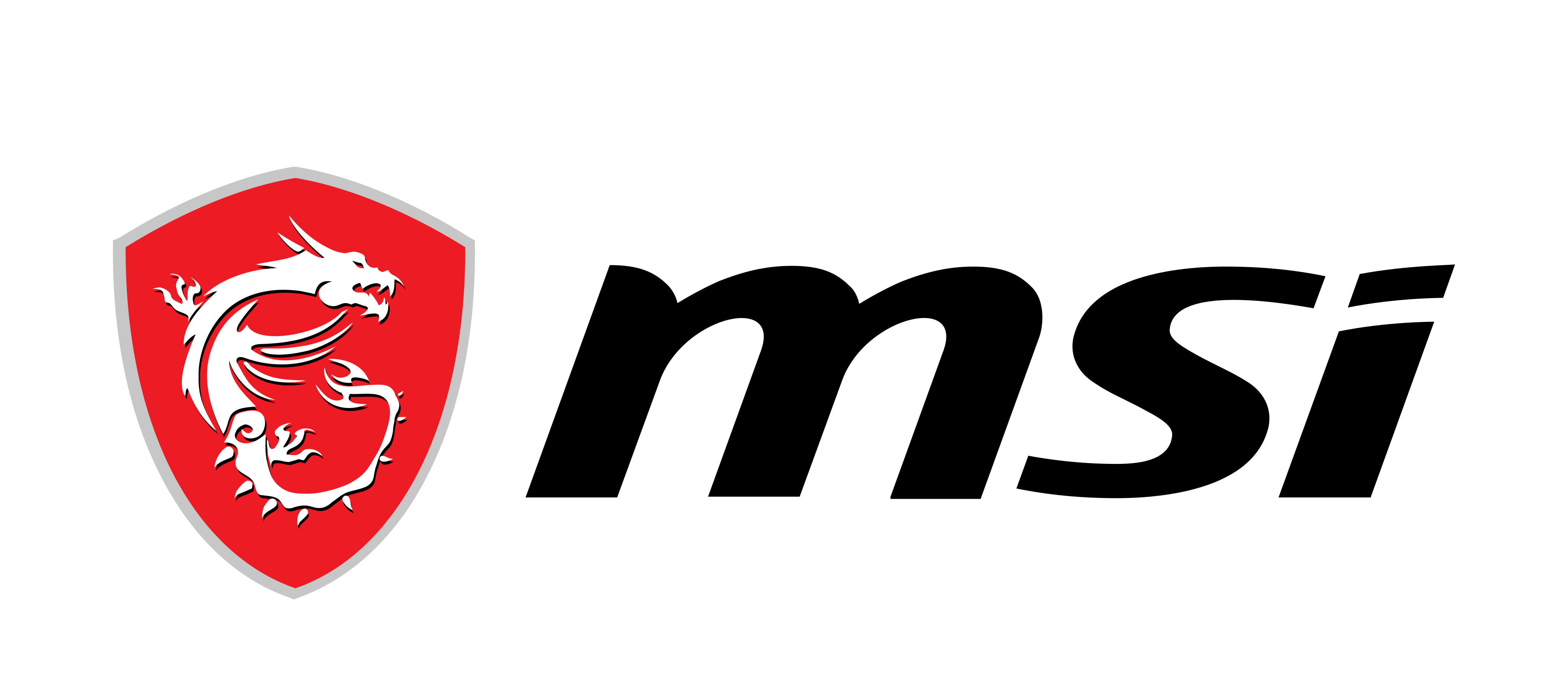 MSI Banner Logo