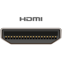 Mini HDMI Female forbindes til denne port/kabelende