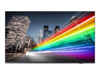 Philips 65BFL2214 65' Digital skiltning 3840 x 2160