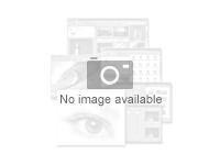 HikCentral Professional - Mobile Surveillance Sikkerhedsprogrammer 1 licens