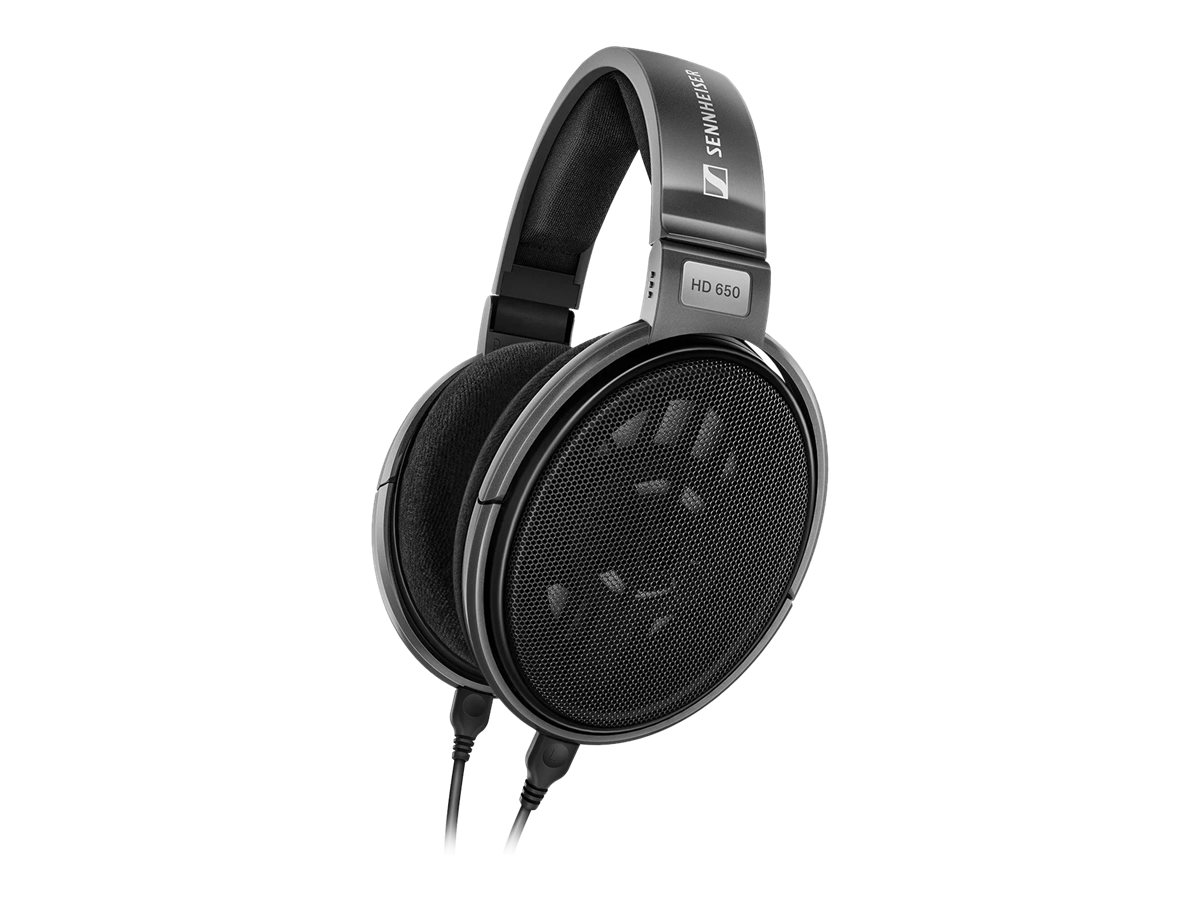 Sennheiser HD 650 Kablet Hovedtelefoner Sølv