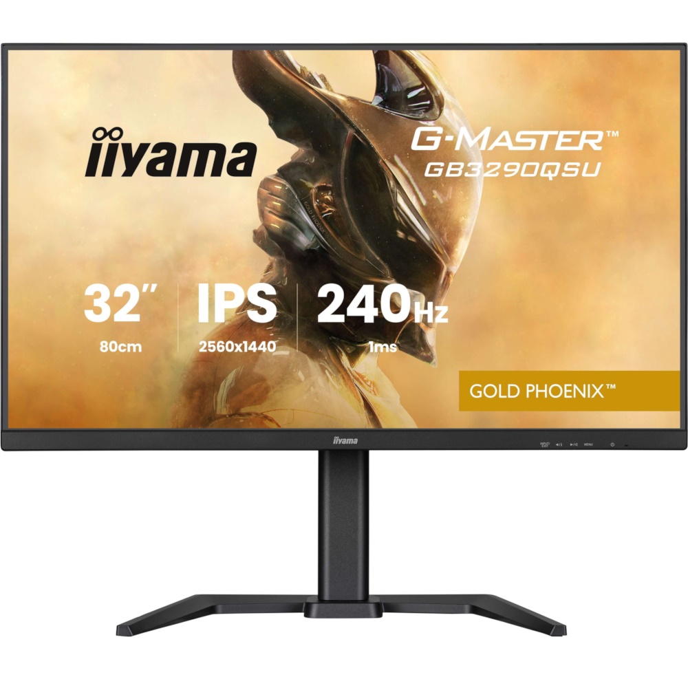 GB3290QSU 80CM 31.5IN IPS