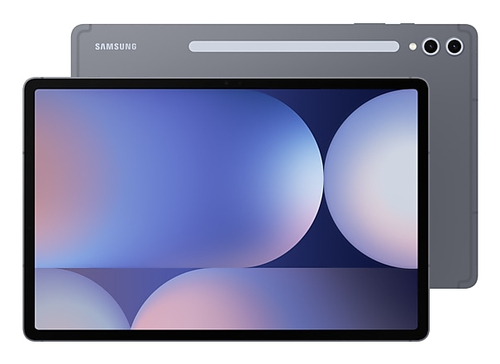 Samsung Galaxy Tab S10+ 5G (256GB) 12GB grau