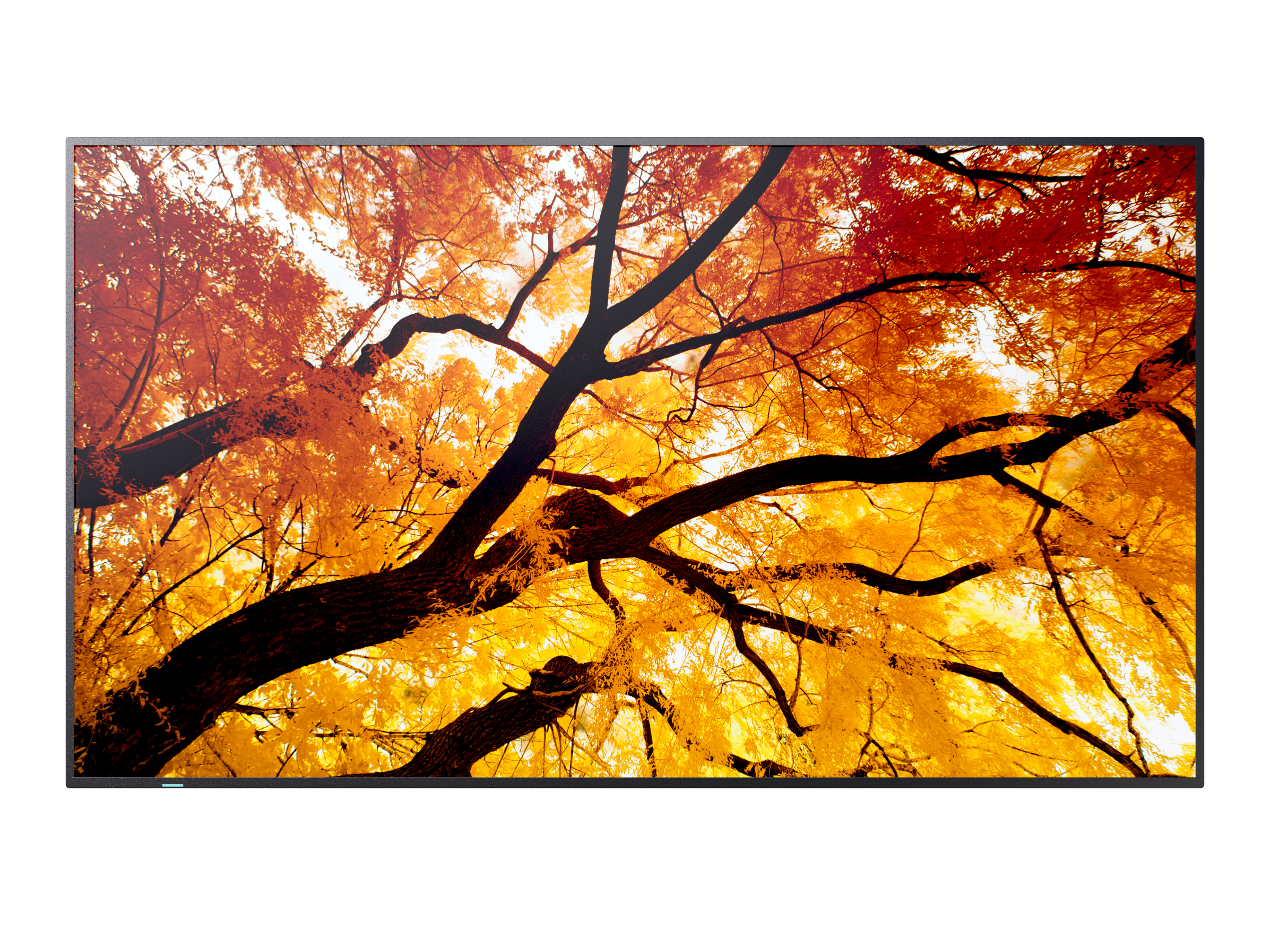 M502 50IN LFD UHD 550CD/M2 D-L