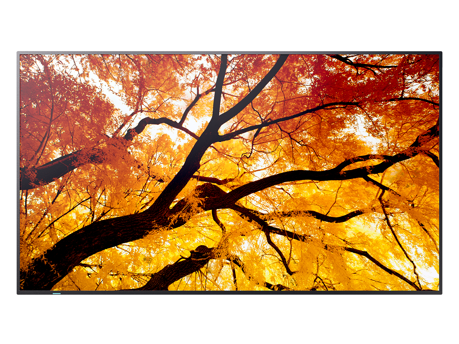 M862 86IN UHD LFD D-LED